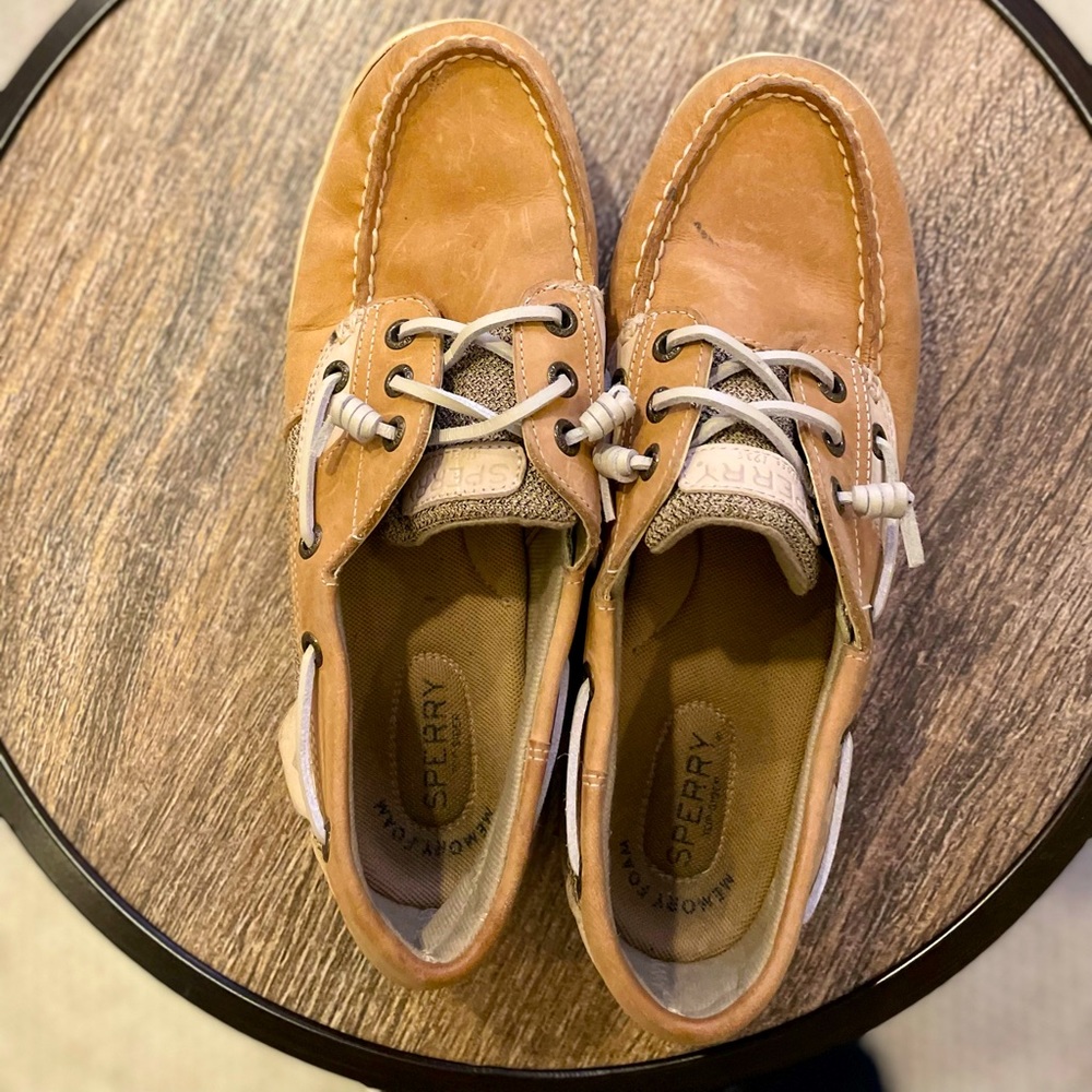 Brown Sperry